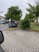 Foto: Gehweg wuchert zu 