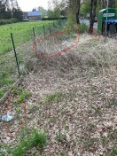 Foto: Wilde Deponie hinter den Glascontainern in Bernöwe 