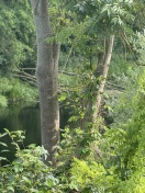 Foto: Schnelle Havel 