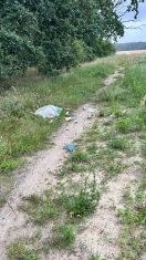 Foto: Mülltüten im Wald  