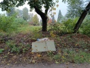 Foto: Mülllagerung 