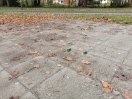 Foto: Glasscherben und Unrat Park Weidendamm 