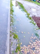 Foto: Verdichtung des Bodens/ zerstörte Funktion des Straßengraben  
