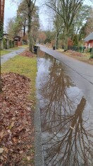 Foto: Regenwasseransammlung 