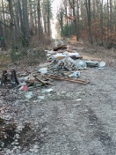 Foto: Wilde Deponie 