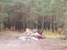 Foto: Wilde Deponie  