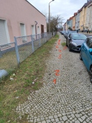 Foto: Massenhaft Hundekot (wieder mal) 