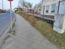 Foto: Volle Hundekotbeutel sowie entleerte Hundekotbeutel 