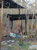 Foto: Müllberg hinter den Garagen 