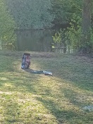 Foto: Abfall und Glasscherben auf der Wiese am Nymphensee  