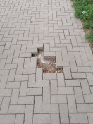 Foto:  
