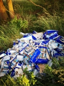 Foto: Abfall/Lebensmittel  