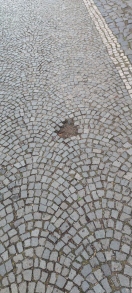 Foto: Schlagloch 