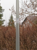 Foto: Defekte Laterne Kiefernring Ecke Mittelpromenade  