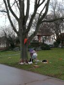 Foto: Müll im Park neben der Strassenbahnhaltestelle 