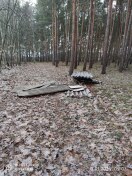 Foto: Asbestplatten 