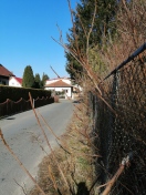 Foto: Wildwuchs 