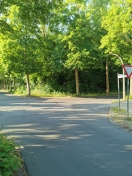 Foto: Schlaglöcher Forstallee Ecke Mittelpromenade Fahrbahnmitte 