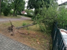 Foto: 1x umgekippter Baum und 1x hängender gebrochener Ast 