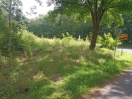 Foto: Sträucher, Wildwuchs versperren Gehweg/ Radweg  