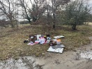 Foto: Wilde Mülldeponie  