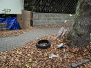 Foto: Sperrmüll, Teppich, Reifen 