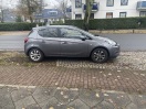 Foto: Parken in einer Einfahrt und auf dem Grünstreifen 