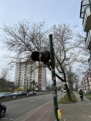 Foto: Fußgänger-LSA vor dem Hauseingang Brielower Straße 37 