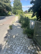 Foto: Fußgängerweg nahezu zugewachsen  