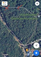 Foto: Umgefallene Baumstämme auf Waldweg 