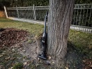 Foto: Illegale Elektro Entsorgung 