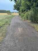Foto: Müllablagerung 