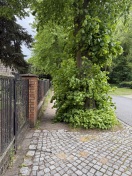 Foto: Fußweg nicht nutzbar 