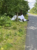 Foto: Wilde Müllablage am Straßenrand der B96 a (alt) 