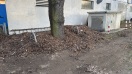 Foto: Großer Haufen von alten Laub 