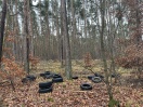 Foto: Autoreifen am Maxsee 