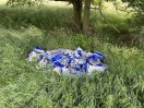 Foto: Wilde Deponie 