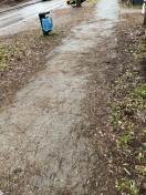 Foto: Laub 