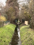 Foto: Abfluss behindert Graben 510 