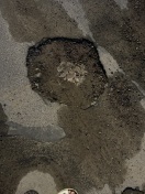 Foto: Tiefe Löcher bis 10 cm tief 