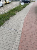 Foto: Bitte mal mähen.  