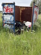 Foto: Wilde Deponie 