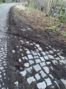 Foto: Straße ist zugewachsen bitte die Straße rechts und links wieder frei machen  