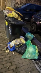 Foto: Abfall auf dem Gehweg /Überfüllte Mülltonnen  