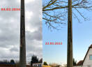 Foto: Schadhafter Betonmast 