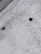Foto: Müll, Uringeruch, Rutschgefahr 
