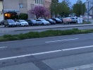 Foto: Unkraut sowohl zwischen den Fahrbahnen, als auch hinter der Haltestelle  
