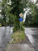 Foto: Gefahr durch Wildwuchs 