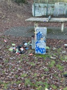Foto: Mülleimer zu voll, Müll auf Grünfläche  