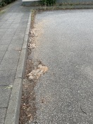 Foto: Immer noch Müll von Silvester am selben Platz 